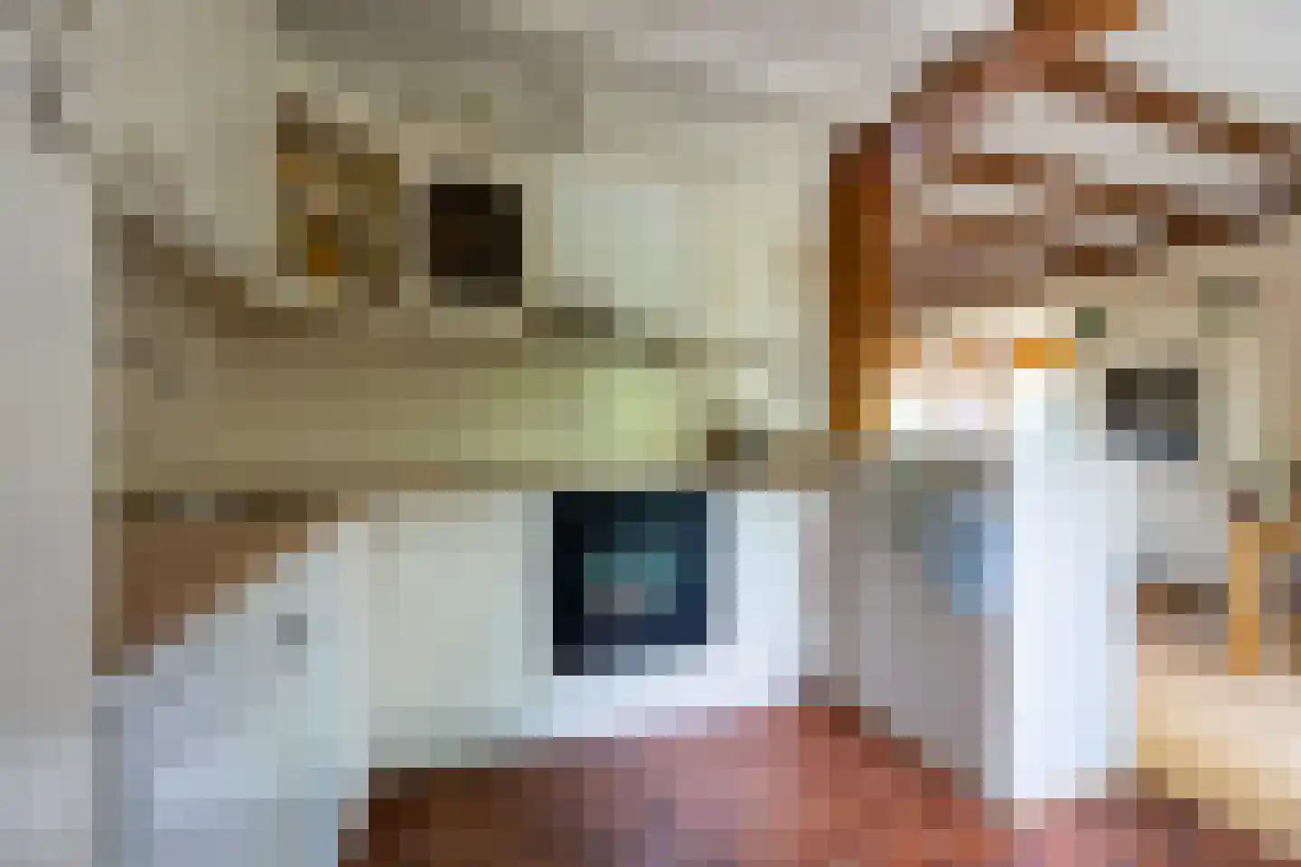 Berkenlaan 28 Maarn thumbnail 15