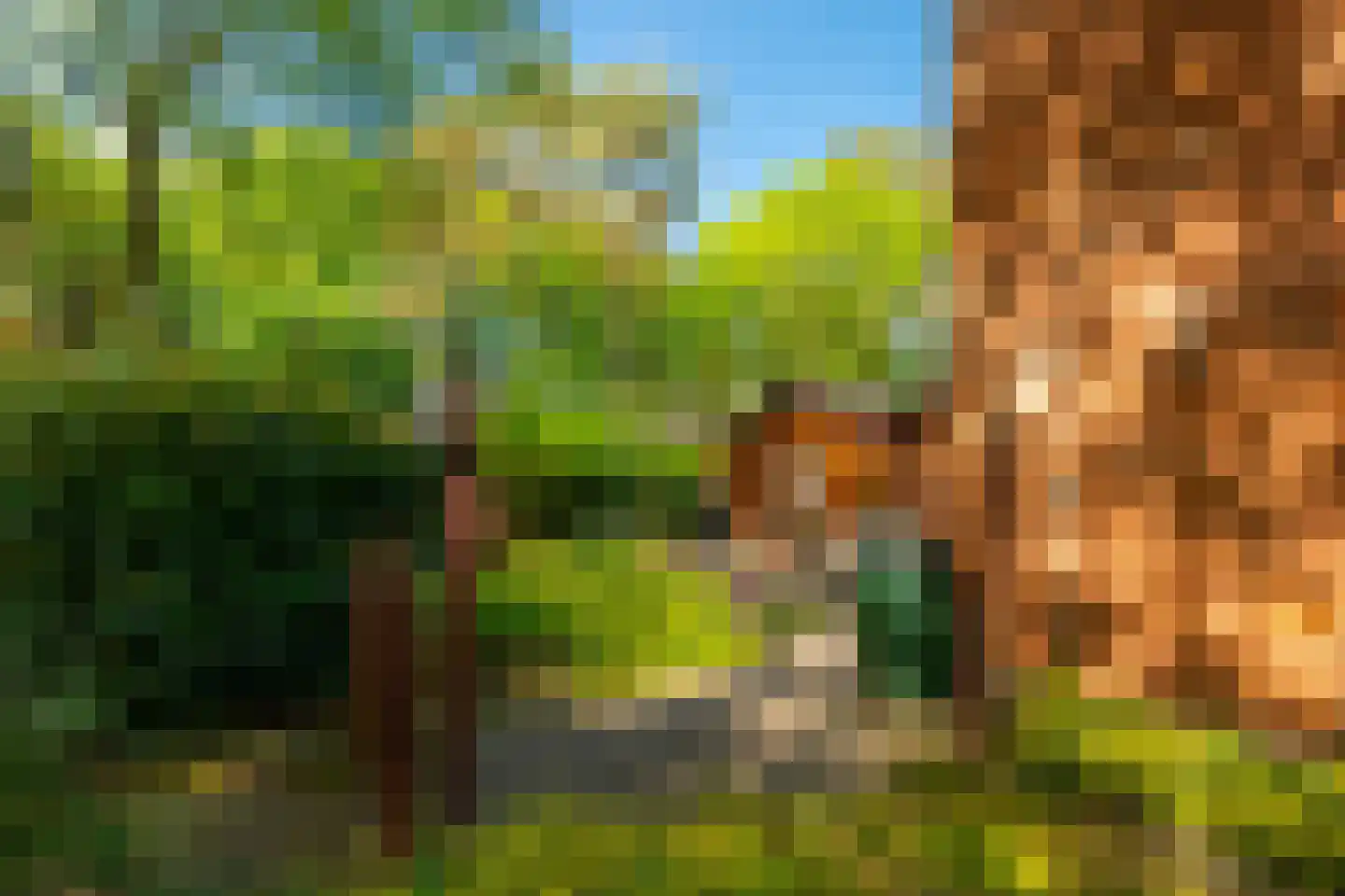 Berkenlaan 28 Maarn thumbnail 34