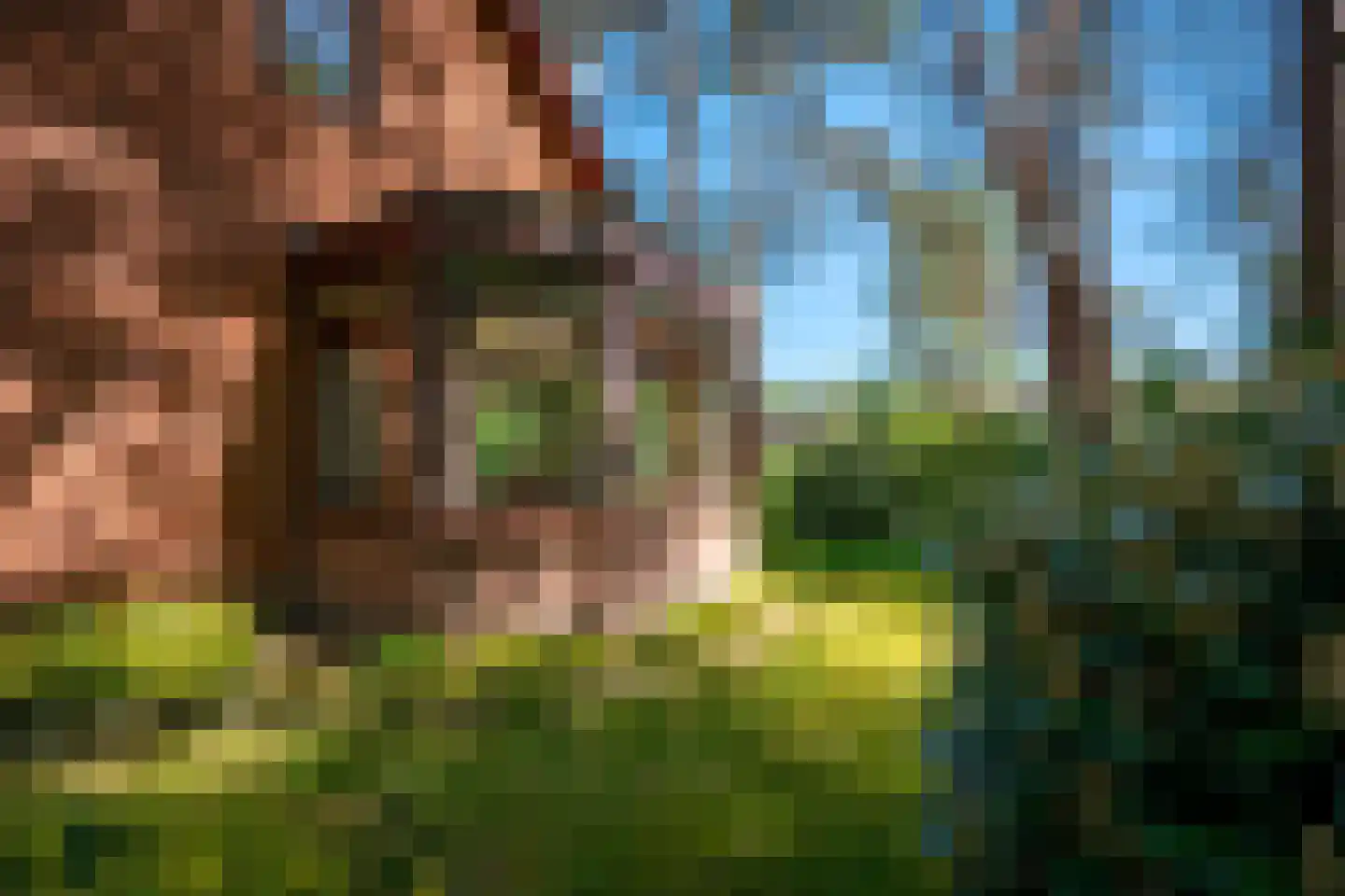 Berkenlaan 28 Maarn thumbnail 35