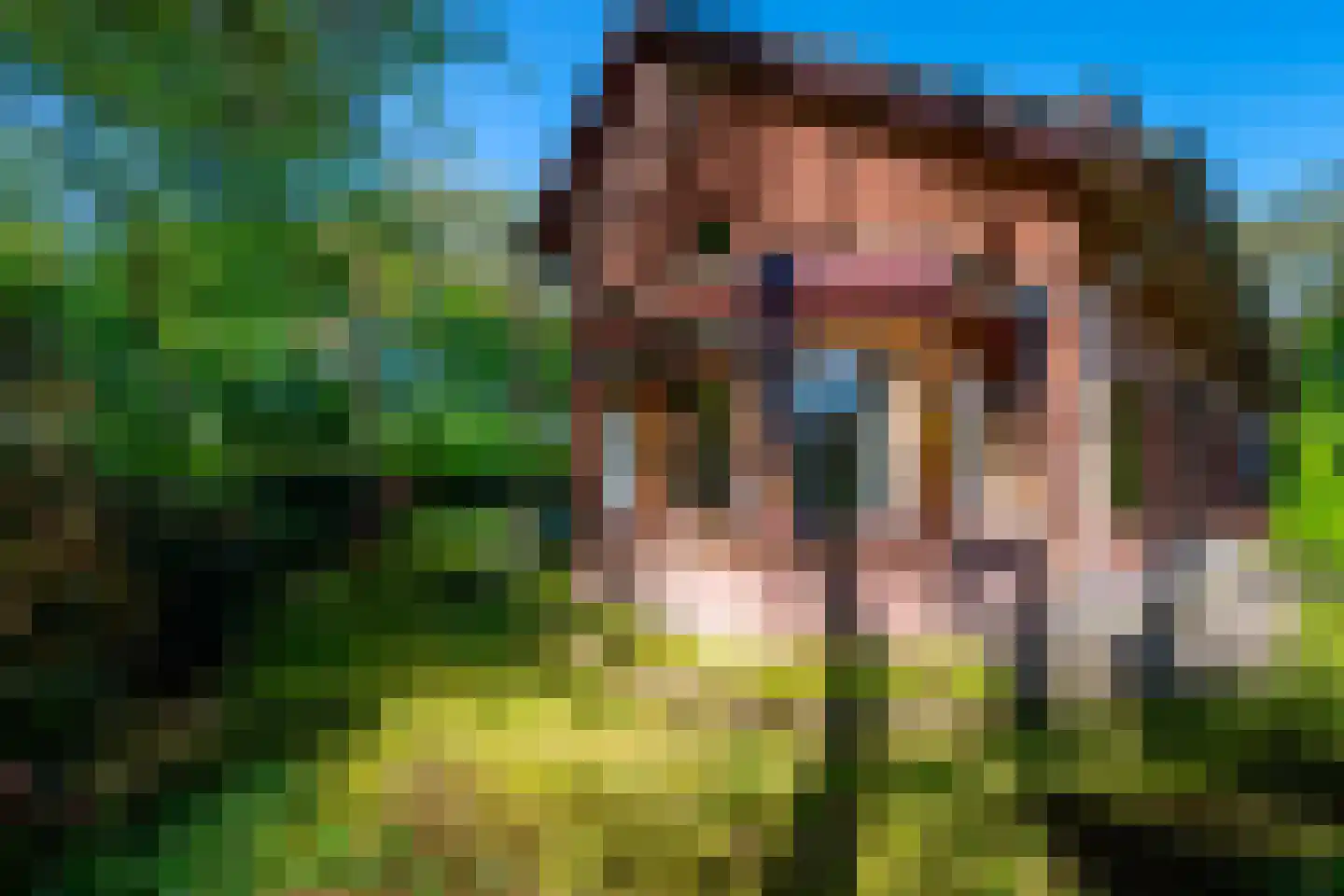 Berkenlaan 28 Maarn thumbnail 36