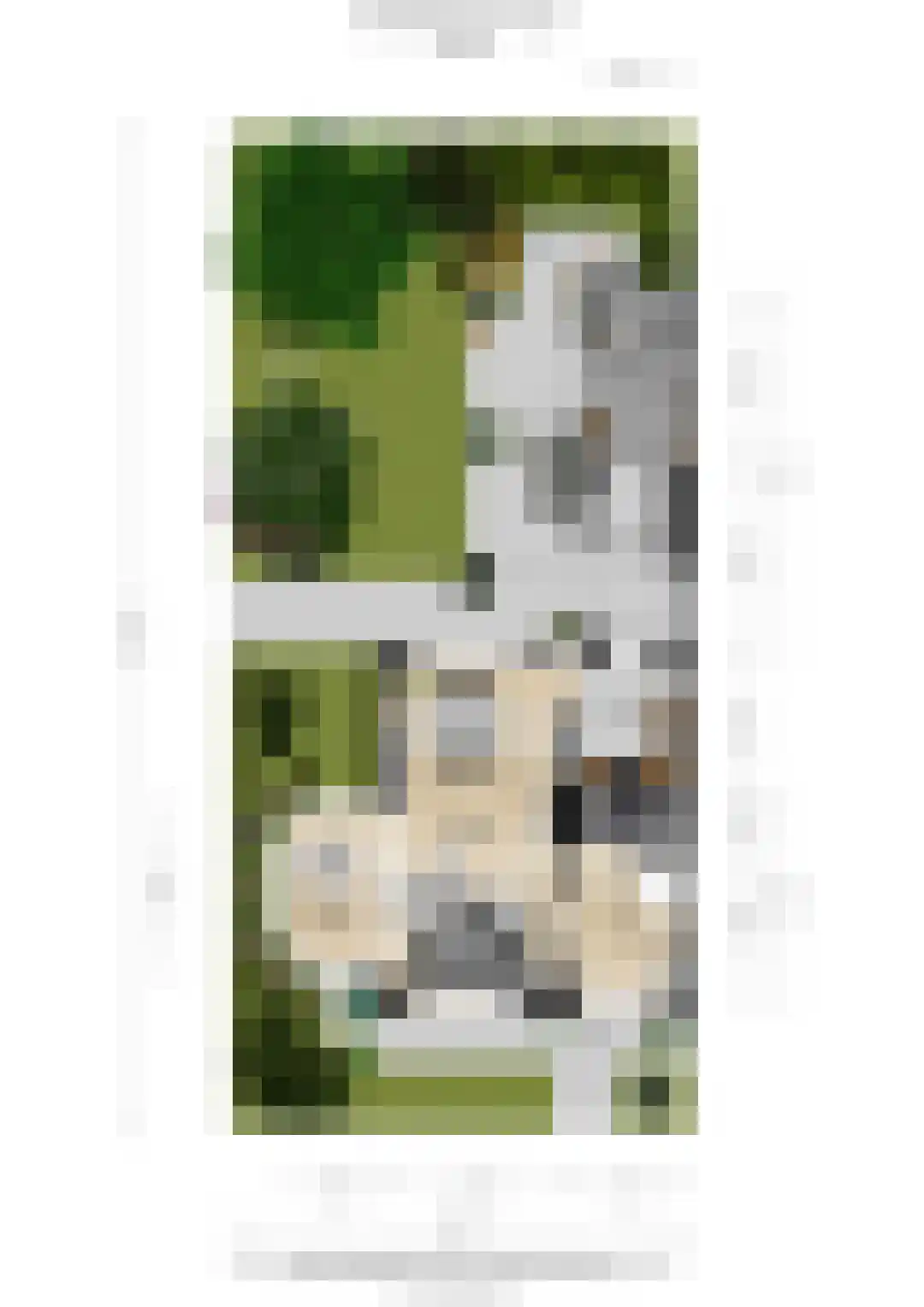 Berkenlaan 28 Maarn thumbnail 47