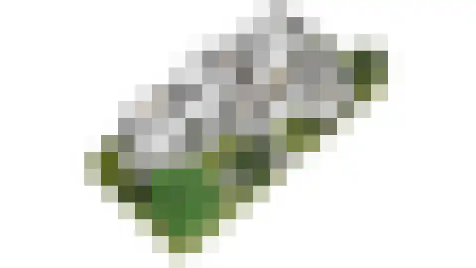 Berkenlaan 28 Maarn thumbnail 48
