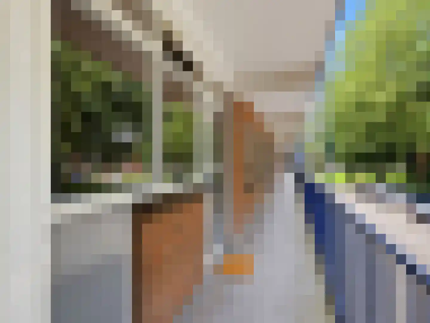 Berkenlaan 283 Zutphen thumbnail 20