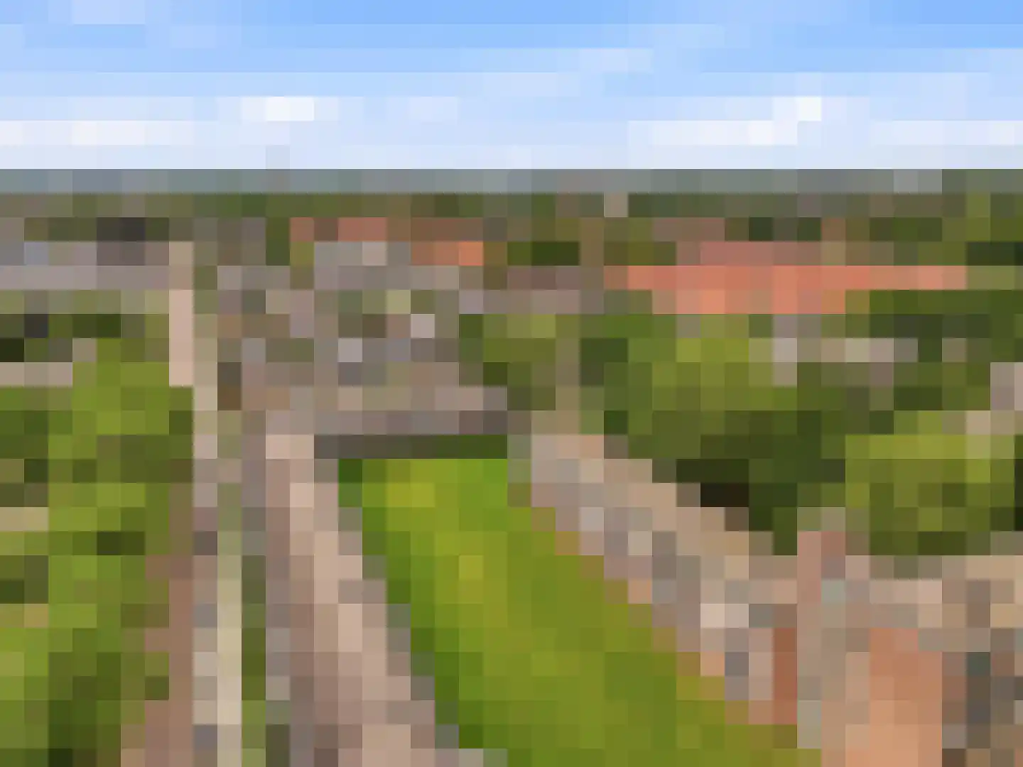 Berkenlaan 283 Zutphen thumbnail 31