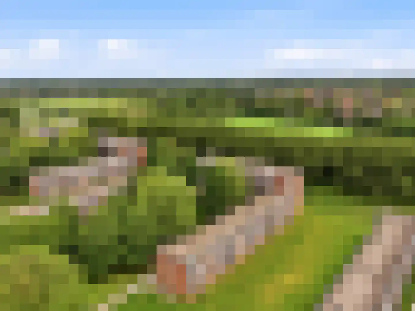 Berkenlaan 283 Zutphen thumbnail 32