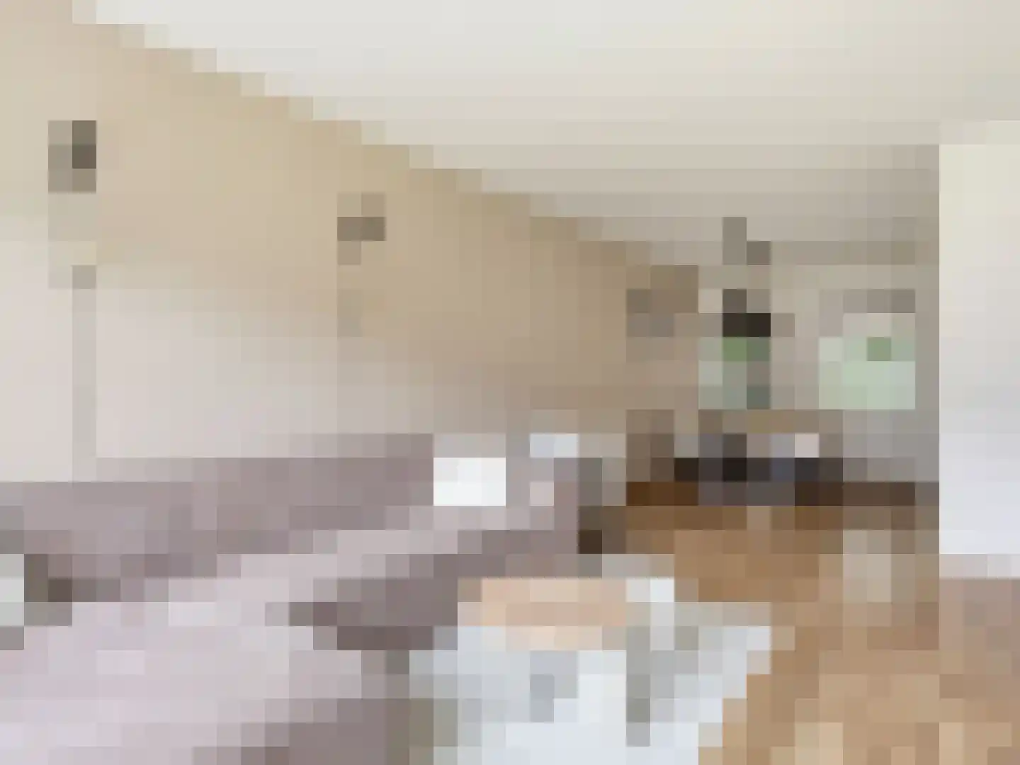 Berkenlaan 283 Zutphen thumbnail 6