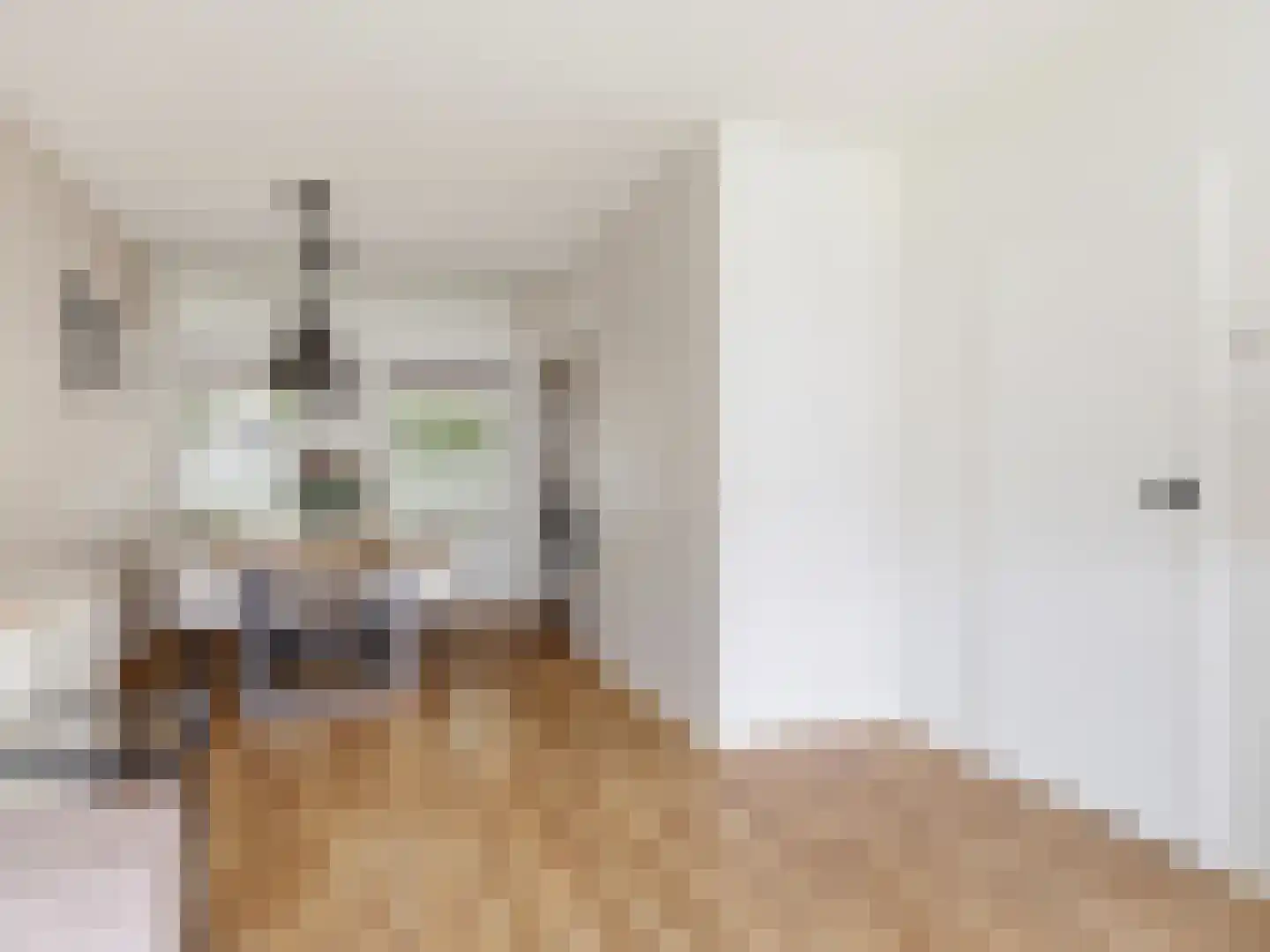 Berkenlaan 283 Zutphen thumbnail 7