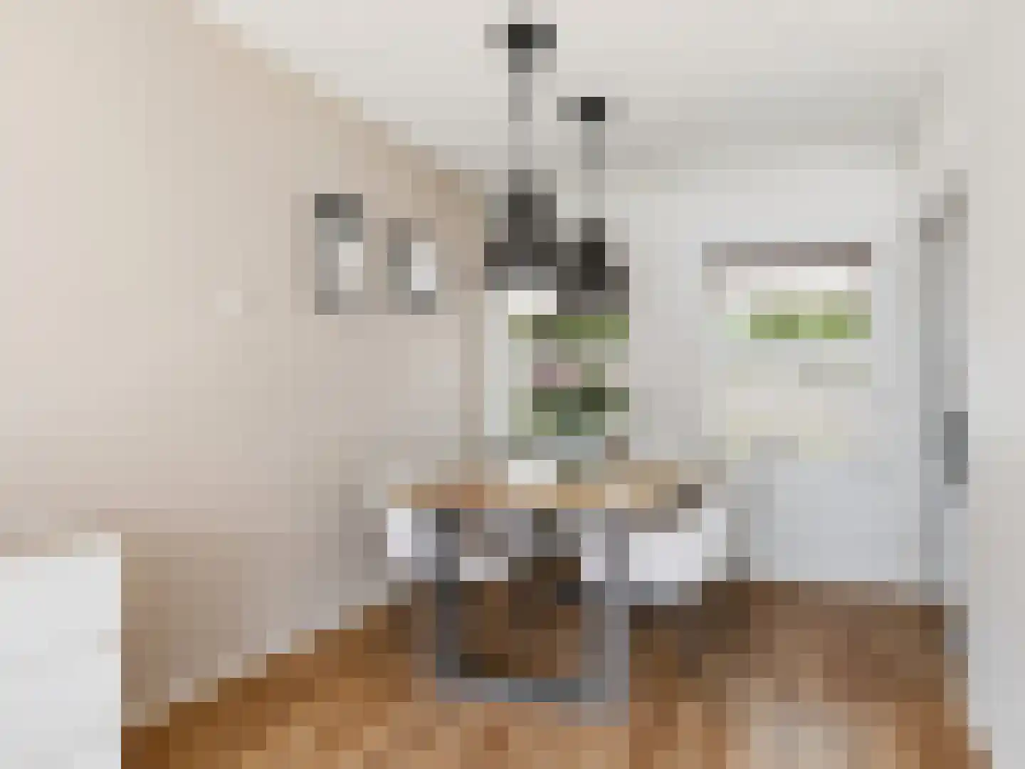 Berkenlaan 283 Zutphen thumbnail 8
