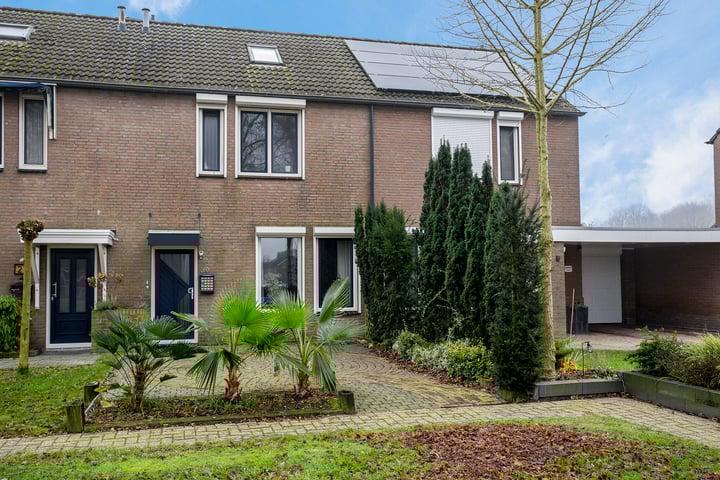 Berkenlaan 29 in Emmer-Compascuum foto