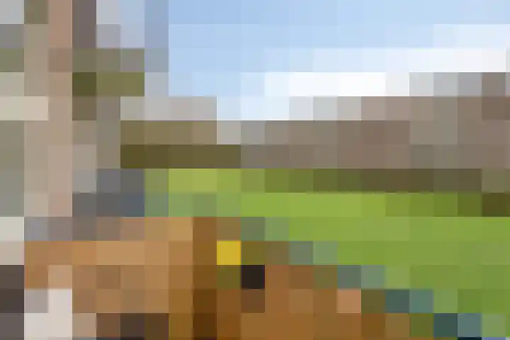 Berkenlaan 293 Zutphen thumbnail 21