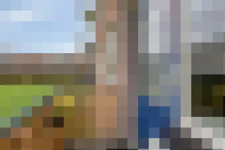 Berkenlaan 293 Zutphen thumbnail 22
