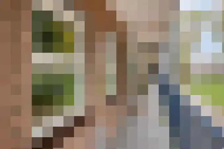 Berkenlaan 293 Zutphen thumbnail 30