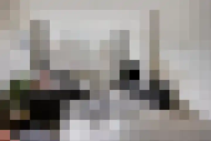 Berkenlaan 293 Zutphen thumbnail 5