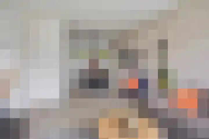Berkenlaan 293 Zutphen thumbnail 8