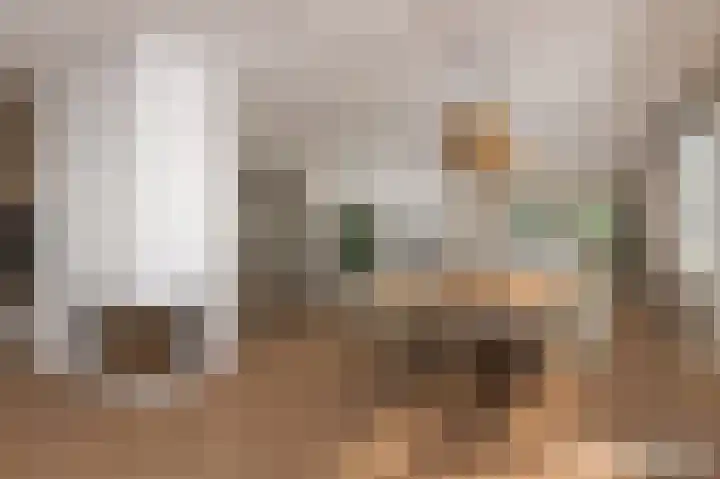 Berkenlaan 3 Dalfsen thumbnail 13