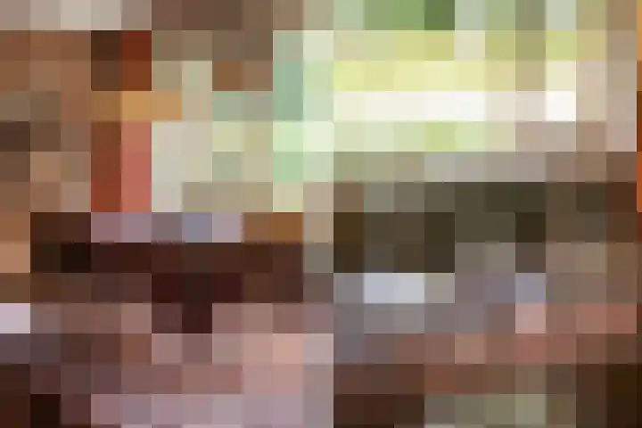 Berkenlaan 3 Dalfsen thumbnail 17