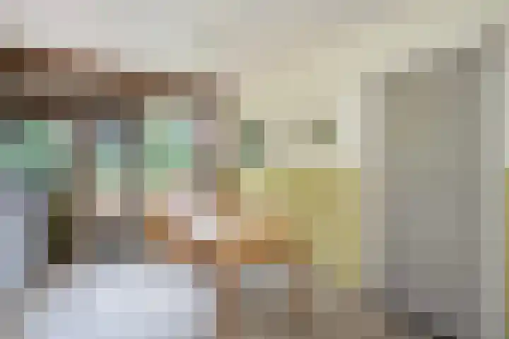 Berkenlaan 3 Dalfsen thumbnail 19