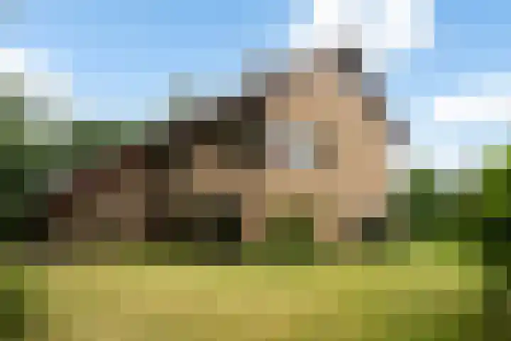 Berkenlaan 3 Dalfsen foto 2