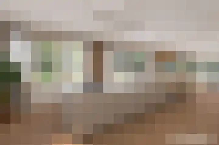 Berkenlaan 3 Dalfsen thumbnail 20