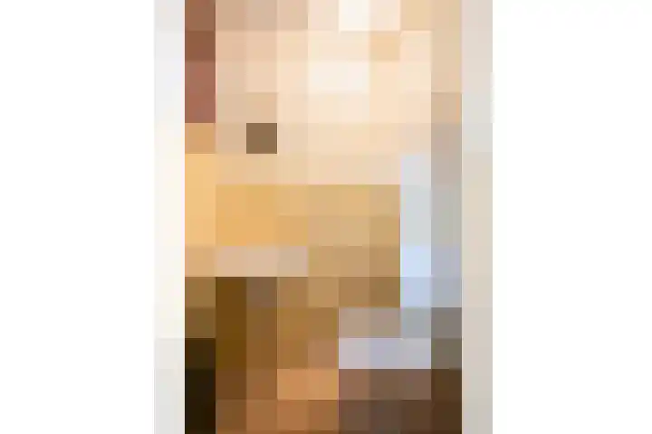 Berkenlaan 3 Dalfsen thumbnail 21
