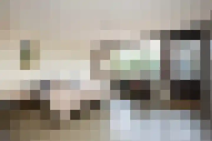 Berkenlaan 3 Dalfsen thumbnail 25