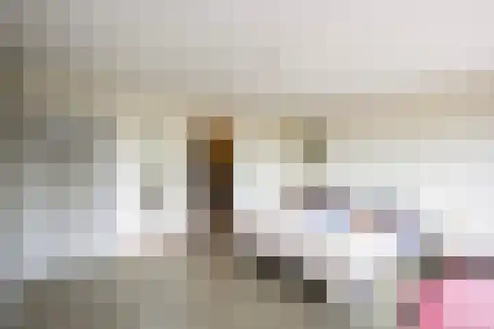 Berkenlaan 3 Dalfsen thumbnail 26