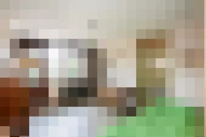 Berkenlaan 3 Dalfsen thumbnail 27