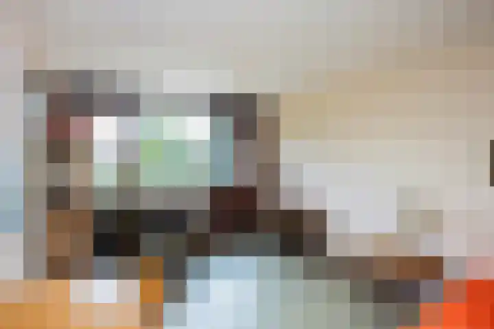 Berkenlaan 3 Dalfsen thumbnail 29