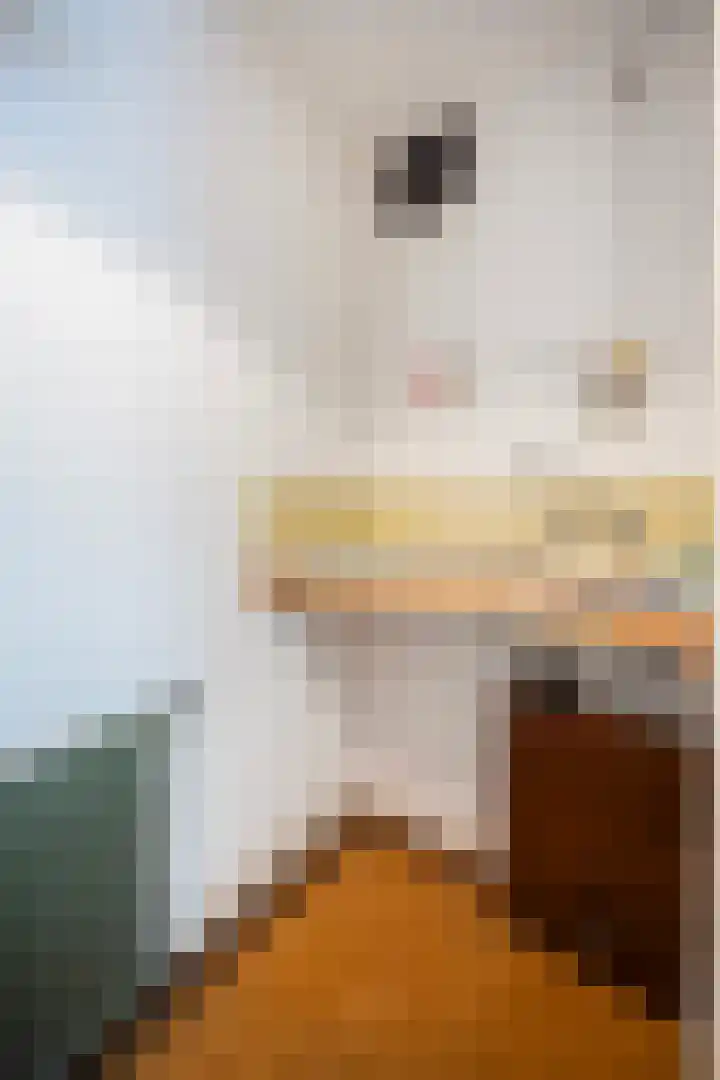 Berkenlaan 3 Dalfsen thumbnail 32