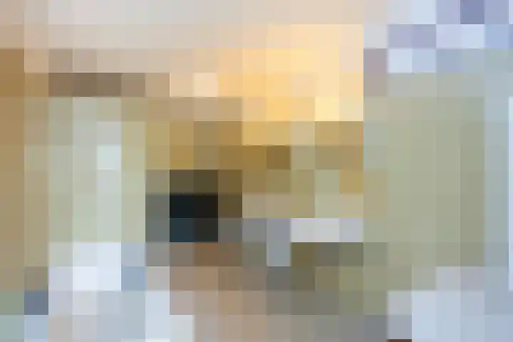 Berkenlaan 3 Dalfsen thumbnail 34