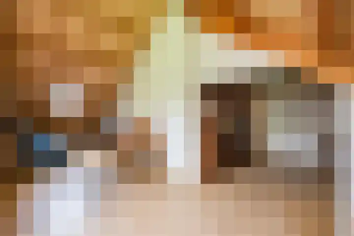 Berkenlaan 3 Dalfsen thumbnail 35