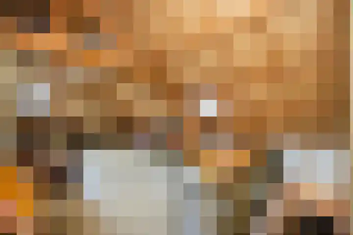 Berkenlaan 3 Dalfsen thumbnail 36