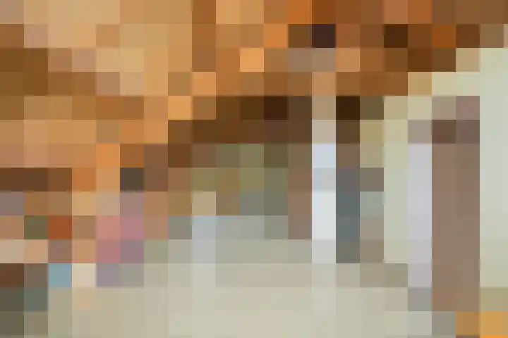 Berkenlaan 3 Dalfsen thumbnail 37