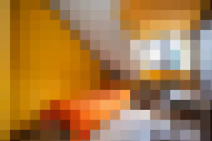Berkenlaan 3 Dalfsen thumbnail 39