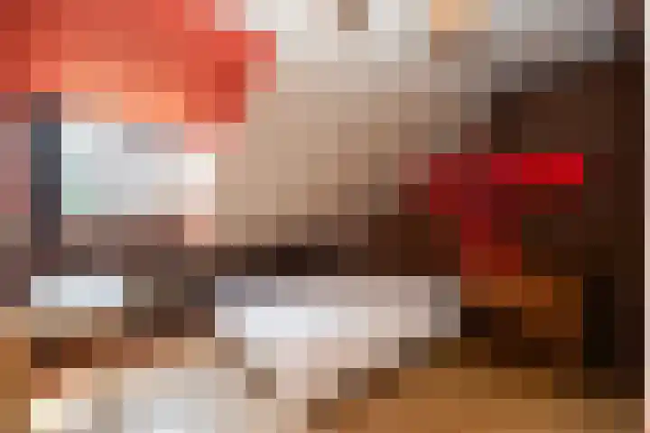 Berkenlaan 3 Dalfsen thumbnail 40