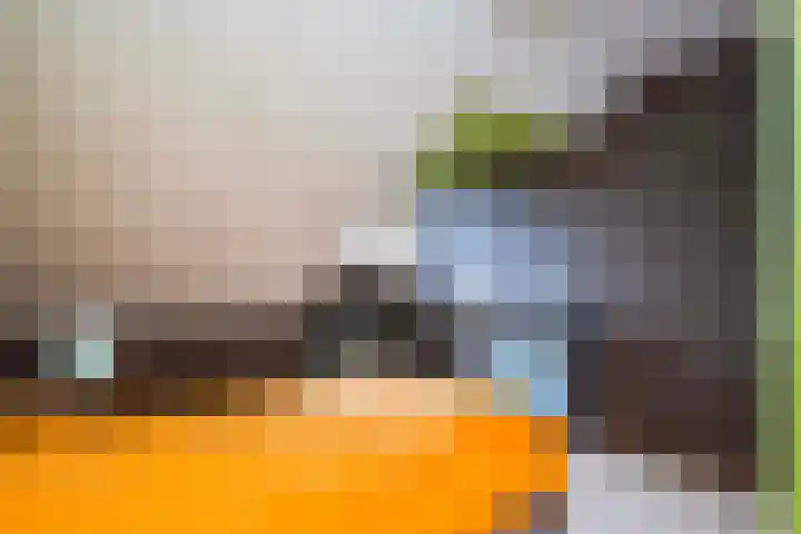 Berkenlaan 3 Dalfsen thumbnail 41