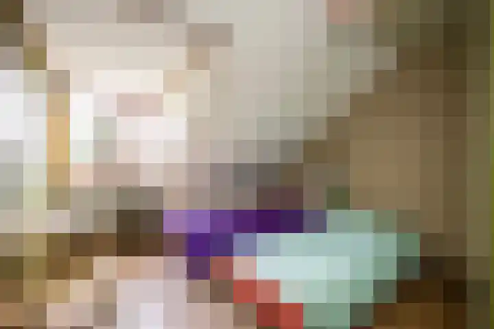 Berkenlaan 3 Dalfsen thumbnail 42