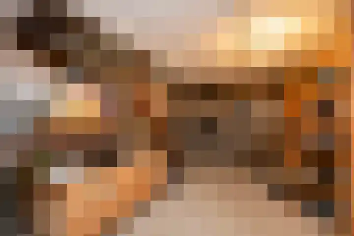 Berkenlaan 3 Dalfsen thumbnail 46