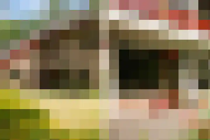 Berkenlaan 3 Dalfsen thumbnail 47