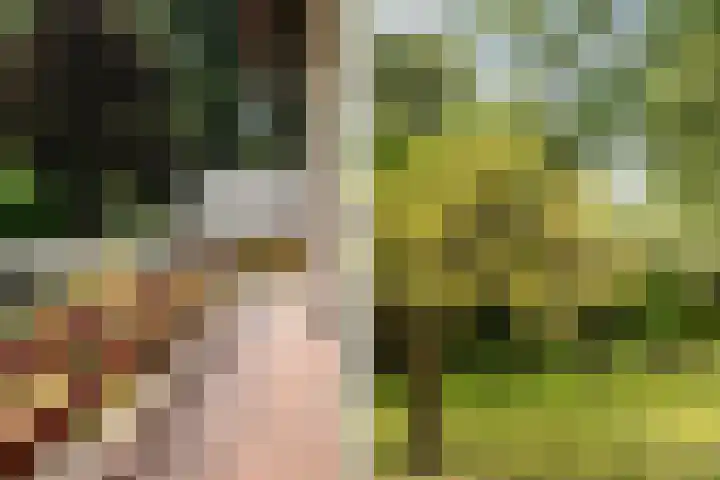 Berkenlaan 3 Dalfsen thumbnail 48