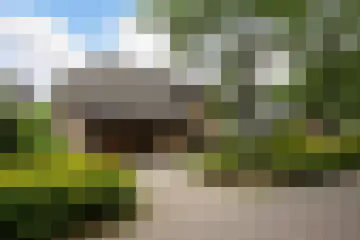 Berkenlaan 3 Dalfsen thumbnail 5