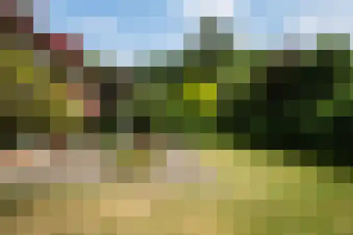Berkenlaan 3 Dalfsen thumbnail 52