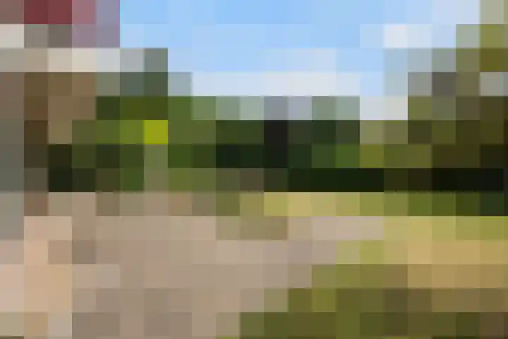 Berkenlaan 3 Dalfsen thumbnail 53