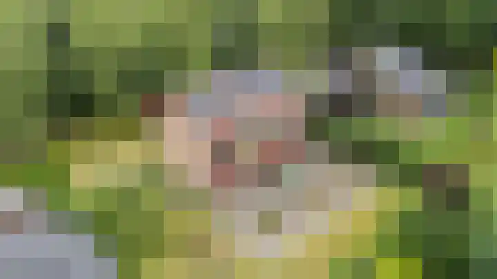 Berkenlaan 3 Dalfsen thumbnail 54