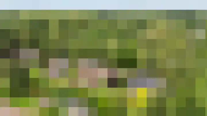 Berkenlaan 3 Dalfsen thumbnail 56
