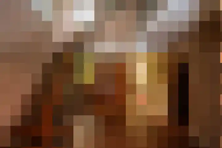 Berkenlaan 3 Dalfsen thumbnail 6