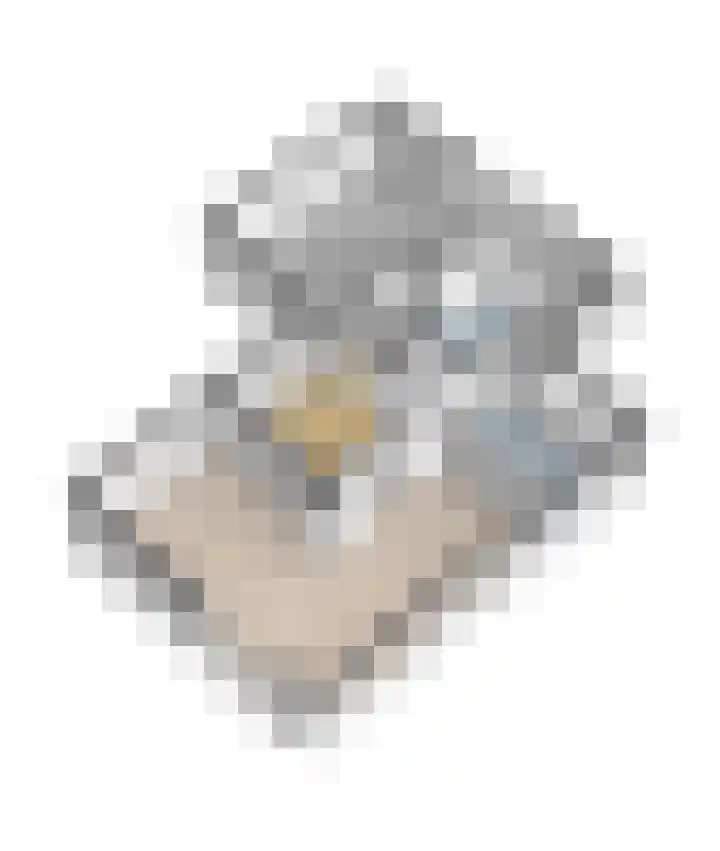Berkenlaan 3 Dalfsen thumbnail 60