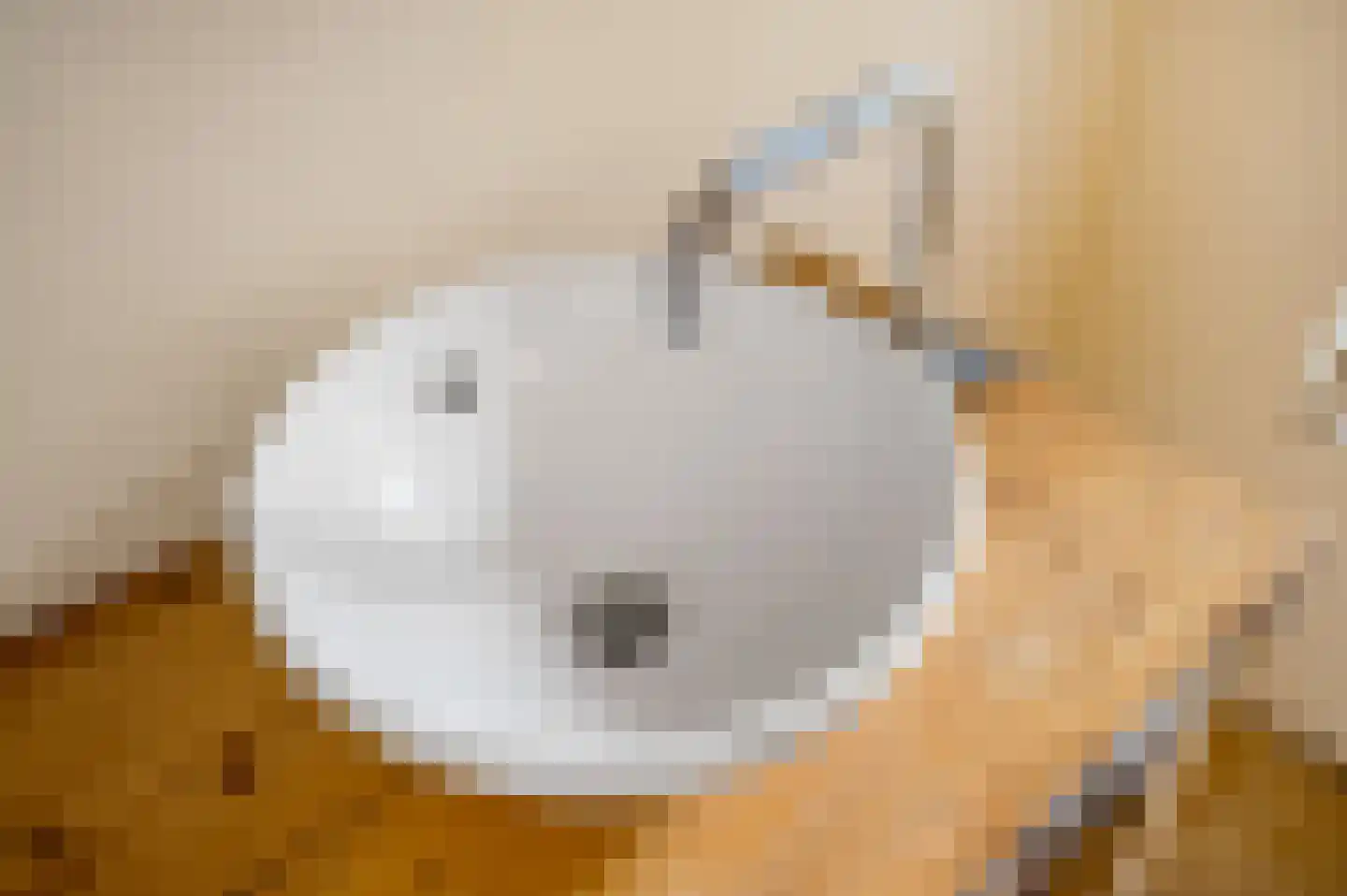 Berkenlaan 3 Ede thumbnail 20