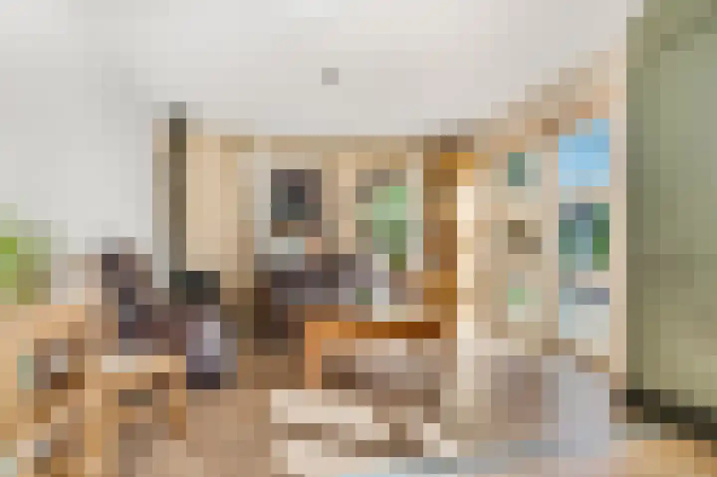 Berkenlaan 3 Ede thumbnail 22