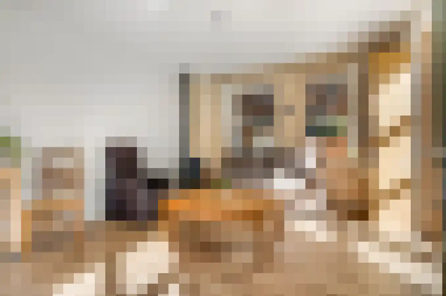 Berkenlaan 3 Ede thumbnail 24